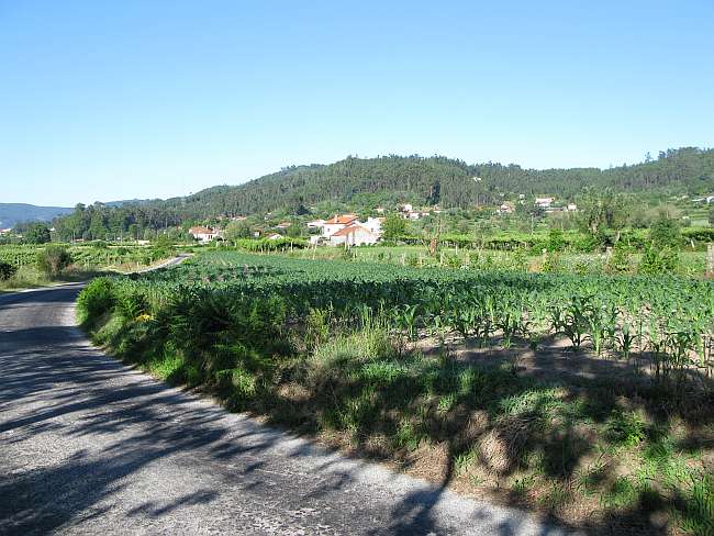 Tamel to Ponte de Lima